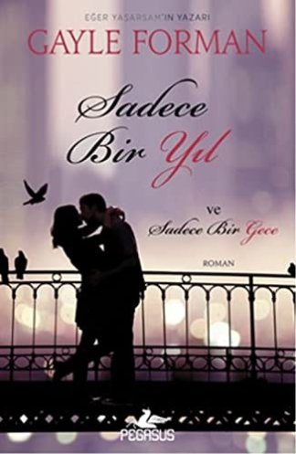 Sadece Bir Yil