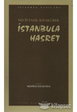 İstanbula Hasret