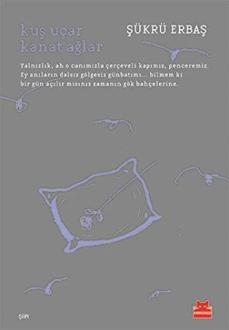 Kus Ucar Kanat Aglar