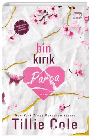 Bin Kırık Parça