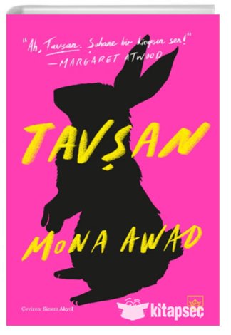 Tavşan