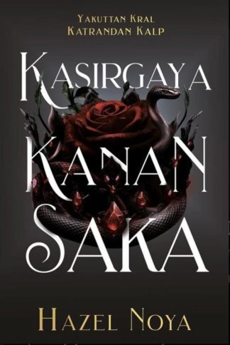 Kasırgaya Kanan Saka 1