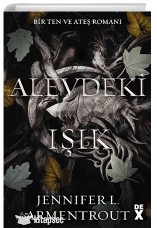 Ten ve Ateş 2: Alevdeki Işık