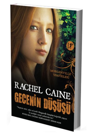 Gecenin Düşüşü