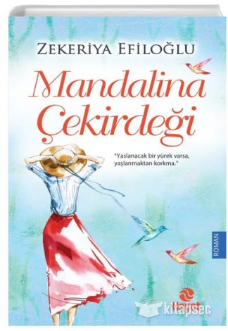 Mandalina Çekirdeği Zekeriya Efiloğlu Hayat Yayınları