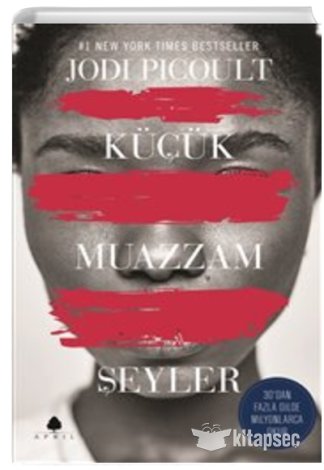 Küçük Muazzam Şeyler Jodi Picoult