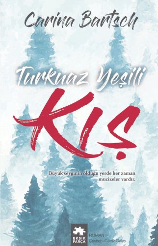 Turkuaz Yeşili Kış kitap kapağı