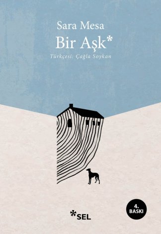 Bir Aşk kitap kapağı