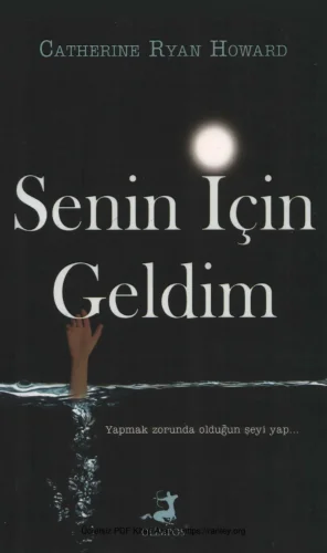 Senin İçin Geldim kitap kapağı