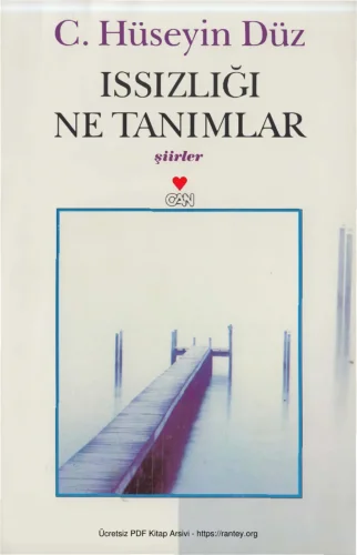 Issızlığı Ne Tanımlar kitap kapağı