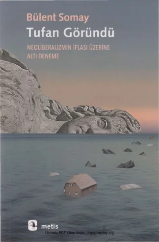 Tufan Göründü kitap kapağı