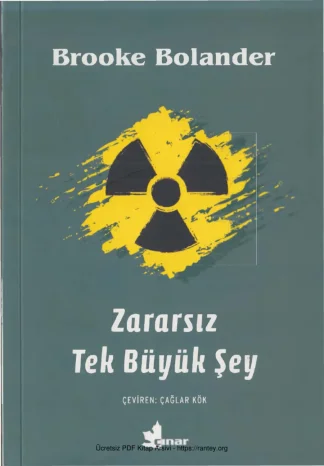 Zararsız Tek Büyük Şey Çınar Yayınları kitap kapağı