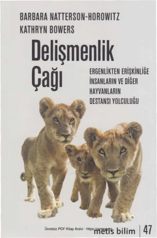 Delişmenlik Çağı
