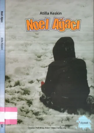Noel Ağacı