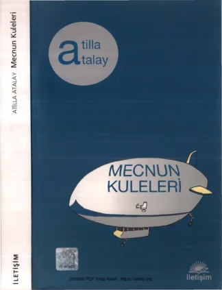 Mecnun Kuleleri
