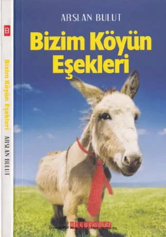 Bizim Köyün Eşekleri kitap kapağı
