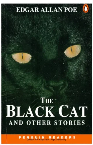 The Black Cat and Other Stories