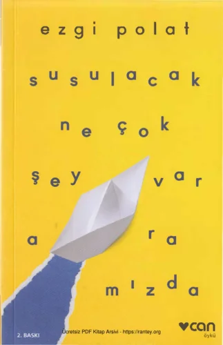 Susulacak Ne Çok Şey Var Aramızda kitap kapağı
