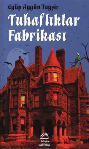 Tayşir Tuhaflıklar Fabrikası kitap kapağı