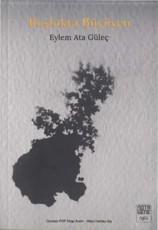 Güleç Boşlukta Büyüyen Nota Bene Yayınları kitap kapağı