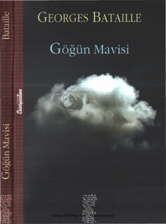 Göğün Mavisi Chivi Yazıları Yayınları