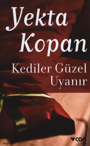 Kediler Güzel Uyanır