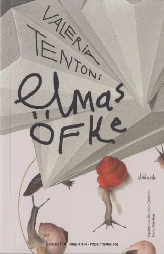 Elmas Öfke kitap kapağı