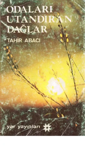 Odaları Utandıran Dağlar