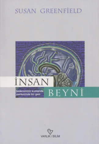 İnsan Beyni