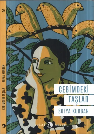 Cebimdeki Taşlar