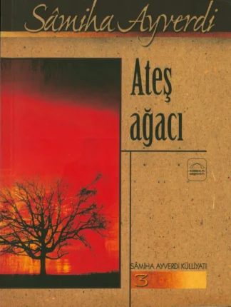 Ateş Ağacı