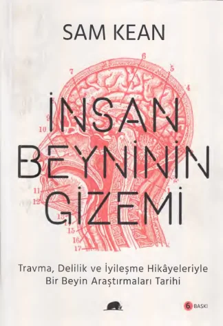 İnsan Beyninin Gizemi