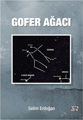 Göfer Ağacı