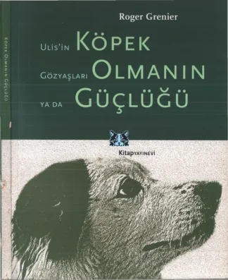 Köpek Olmanın Güçlüğü
