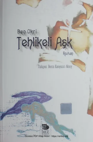 Tehlikeli Aşk kitap kapağı