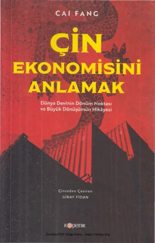 Çin Ekonomisini Anlamak
