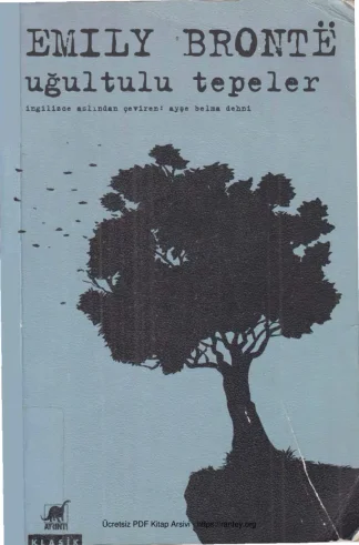 Uğultulu Tepeler Ayrıntı Yayınları kitap kapağı