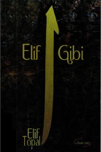Elif Gibi Kutupyıldızı Yayınları kitap kapağı