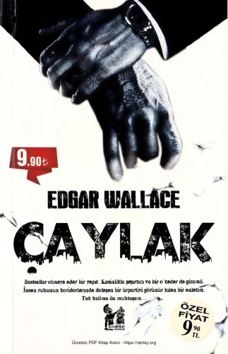 Çaylak Altınpost Yayınları