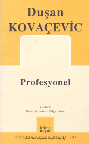 Profesyonel