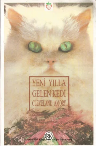 Yeni Yıllar Gelen Kedi Remzi Kitabevi
