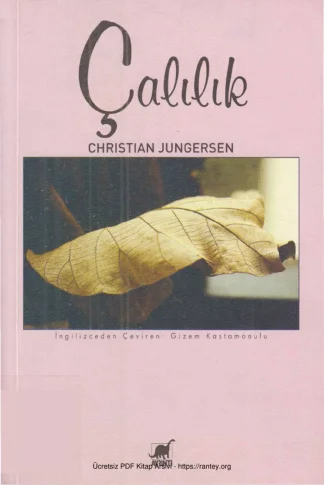 Çalılık