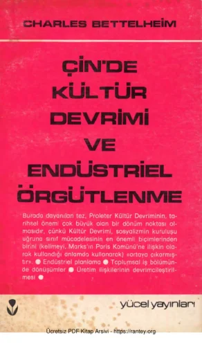 Çinde Kültür Devrimi ve Endüstriyel Örgütlenme