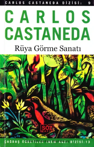 Rüya Görme Sanatı