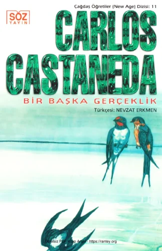 Bir Başka Gerçeklik