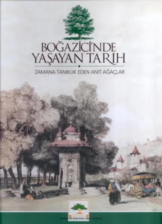 Tarih Zamana Tanıklık Eden Anıt Ağaçlar