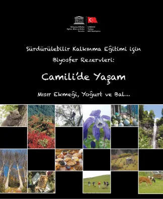 Borçka Camili'de Yaşam