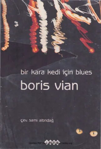 Bir Kara Kedi İçin Blues Stüdyo İmge Yayınları