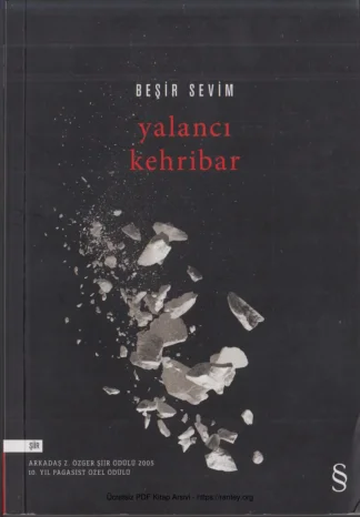 Yalancı Kehribar Everest Yayınları