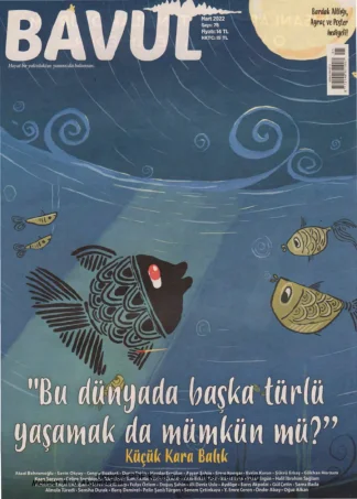 Bavul Sayı 078